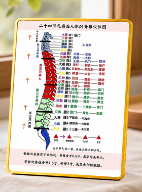 二十四节气感应人体24脊椎穴位图摆台中医养生馆装饰摆件