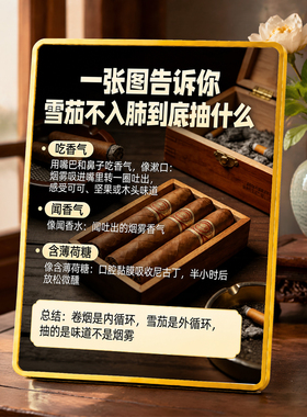 雪茄不入肺科普装饰摆台雪茄吧会所吧台复古装饰摆件