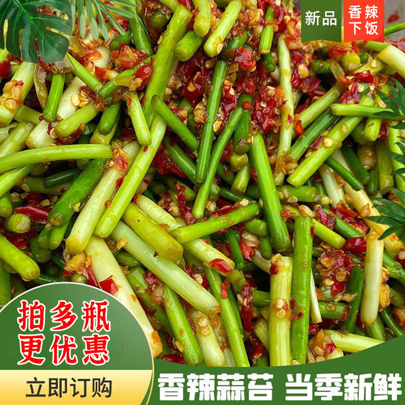 江西辣菜新鲜农家腌蒜苔脆辣蒜薹蒜毫腌蒜苗瓶装酱菜下饭菜小咸菜