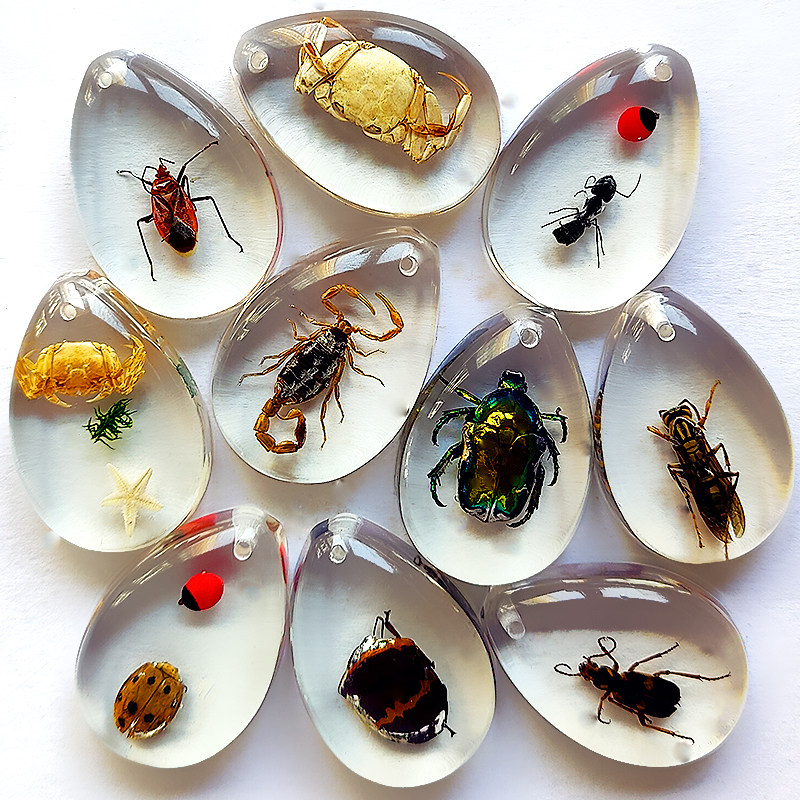 天然真昆虫树脂密封人造昆虫琥珀标本宝石项坠吊坠钥匙扣挂件饰品