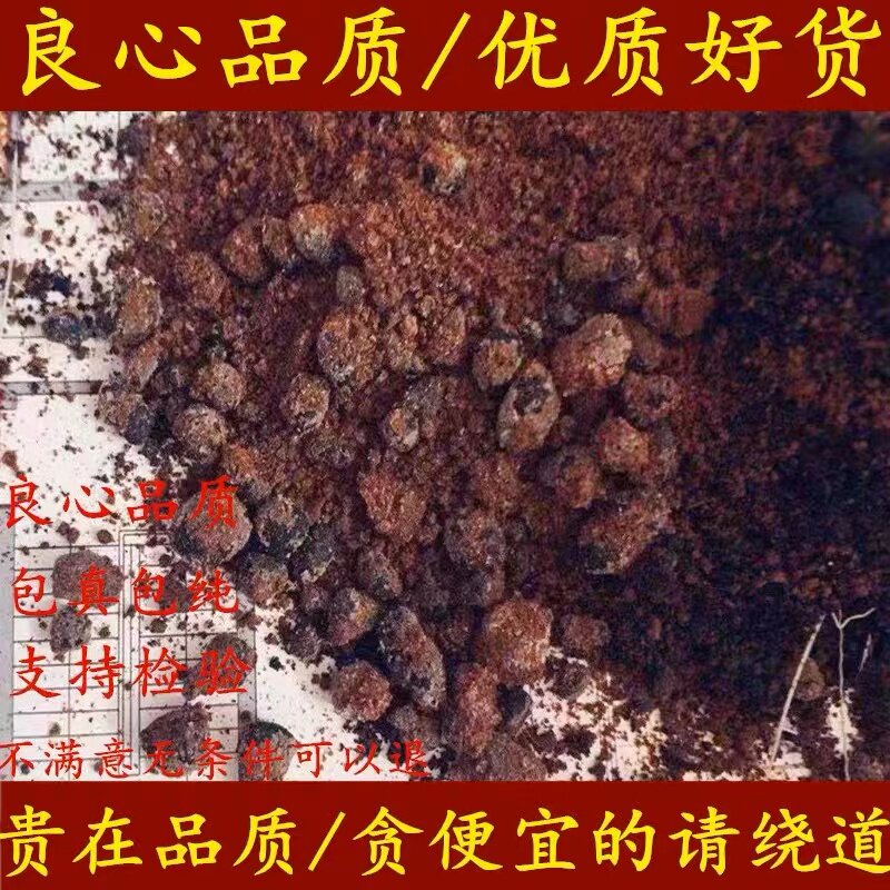 中药材麝香正宗麝香人工合成麝香粉1克正品麝香当门子中药1g