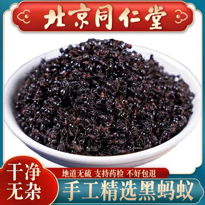 黑蚂蚁中药材大黑蚂蚁干散装食用野生干货泡酒黑蚂蚁另售红蚂蚁干