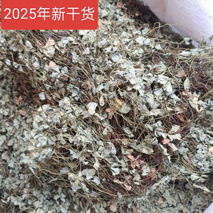 新货野生四叶萍 四叶草 田字萍 四瓣草 破铜钱草夜夜合干货中药材