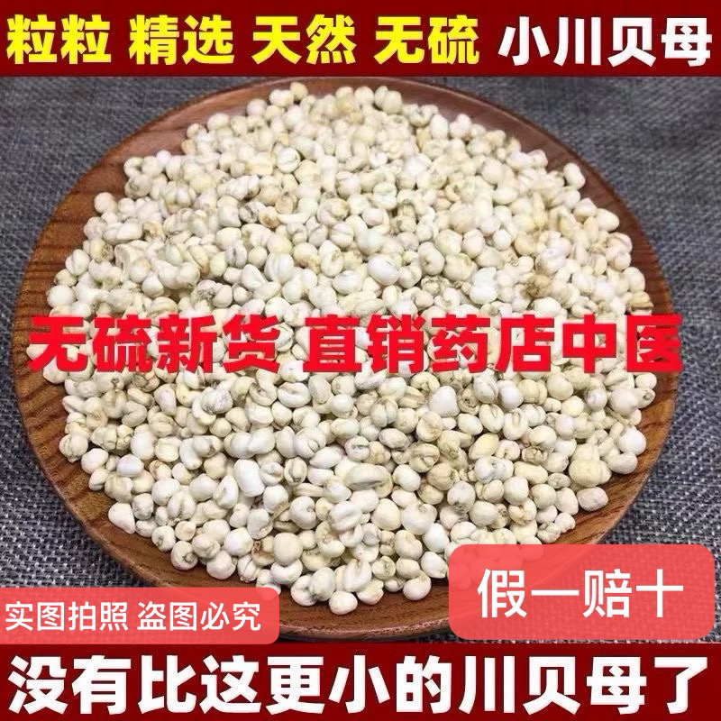 粒粒精选品小川贝母四川阿坝野生无硫松贝药材米贝发货和图一样