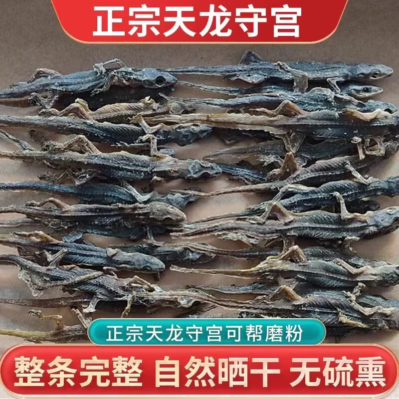 天龙壁虎干守宫中药材正品中药材大全四脚蛇巴壁虎250g克打粉直发