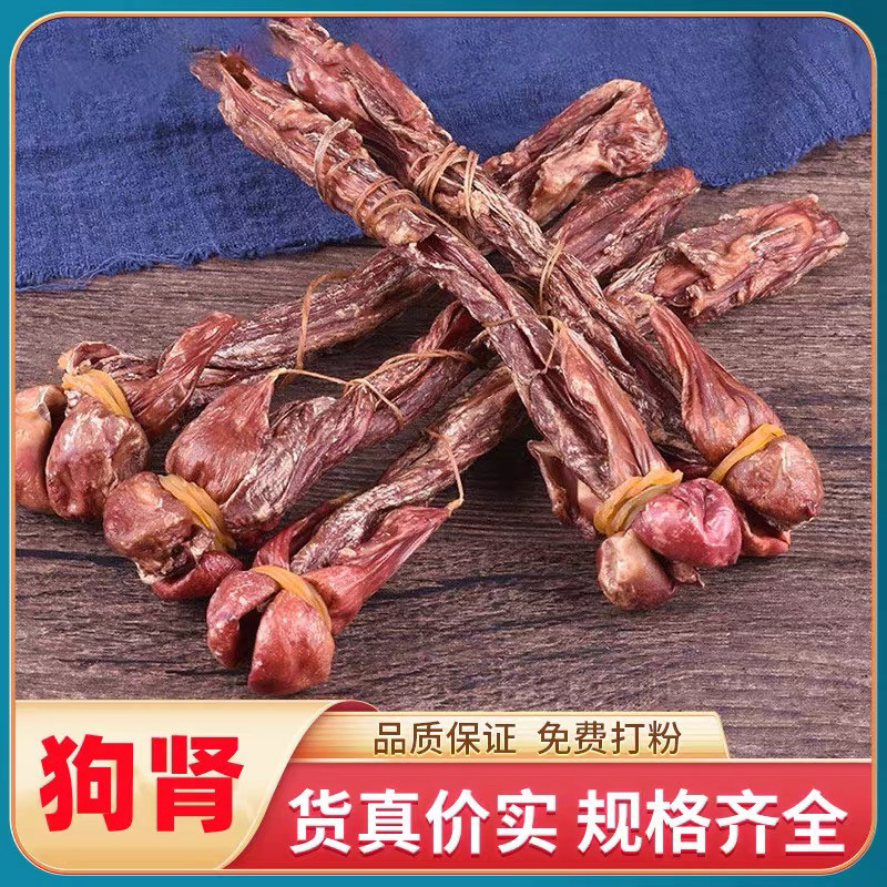 狗肾海鞭中药材正品海鞭狗肾完整