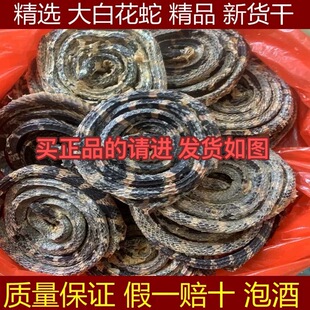 大白花蛇中药材100克 金钱白花蛇 银环蛇大白花蛇白花蛇泡酒整条