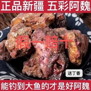 阿魏新疆五彩臭阿魏黑阿魏钓鱼中草药泡酒料送丁香假一赔十