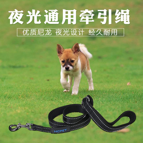 厂家HCPET牵引绳跨境宠物用品夜光款夜晚安全牵引绳子高品质尼龙