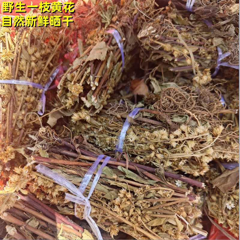 中药材野生一枝黄花 老虎尿干 金锁钥 黄花草凉茶