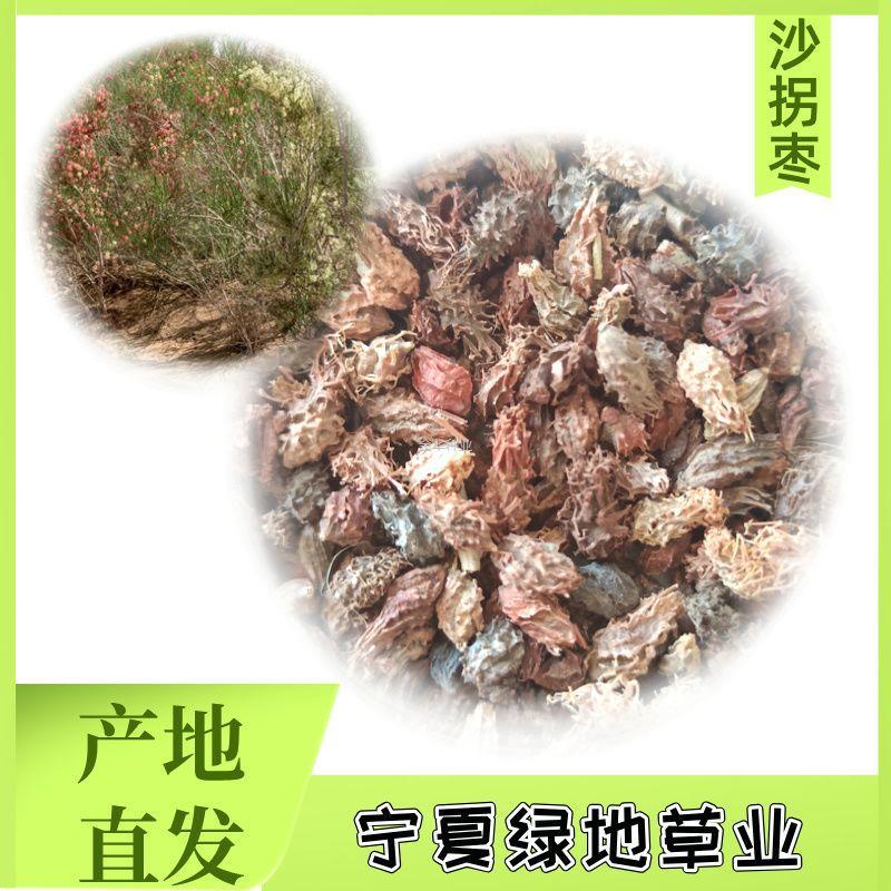 治沙草园林绿化盆景工程观赏林新鲜沙拐枣种子多年生头发灌木防风