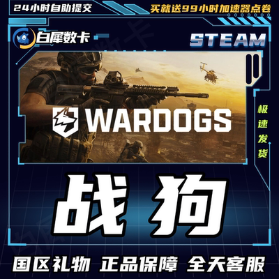 Steam正版游戏战狗WARDOGS礼物发