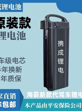 大容量48v海霸新款40ah20ah锂电池代驾车折叠车多车通用工厂直销