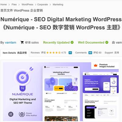 SEO数字营销WordPress主题模板Numérique v19