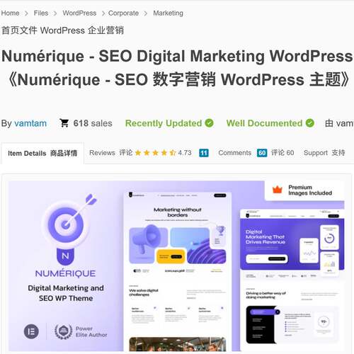 SEO数字营销WordPress主题模板Numérique v19