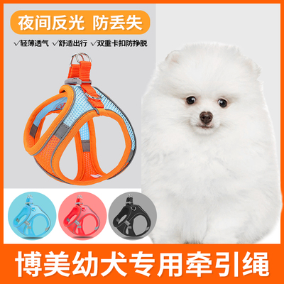 博美幼犬专用牵引绳遛狗绳