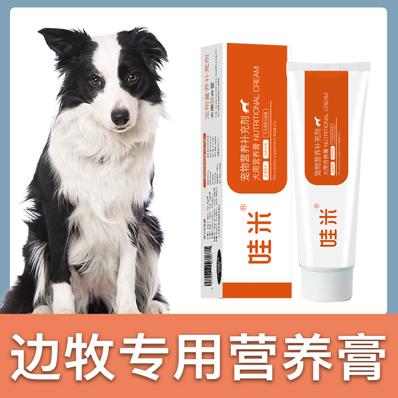 牧犬补充营养维生素春上村下