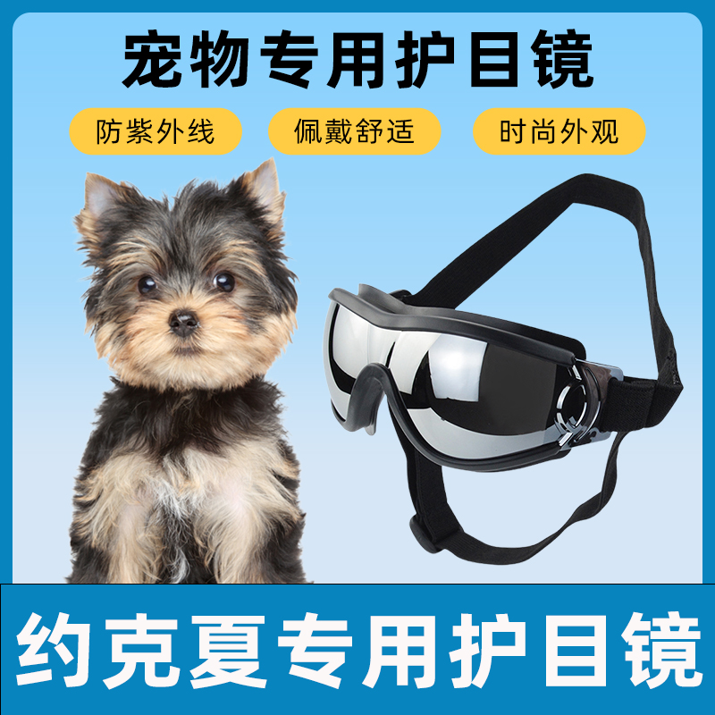 哇米约克夏骑行防风护目镜