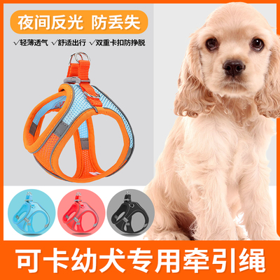 可卡犬幼犬专用牵引绳遛狗绳