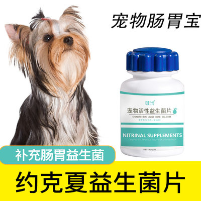 约克夏益生菌宠物肠胃消化犬用