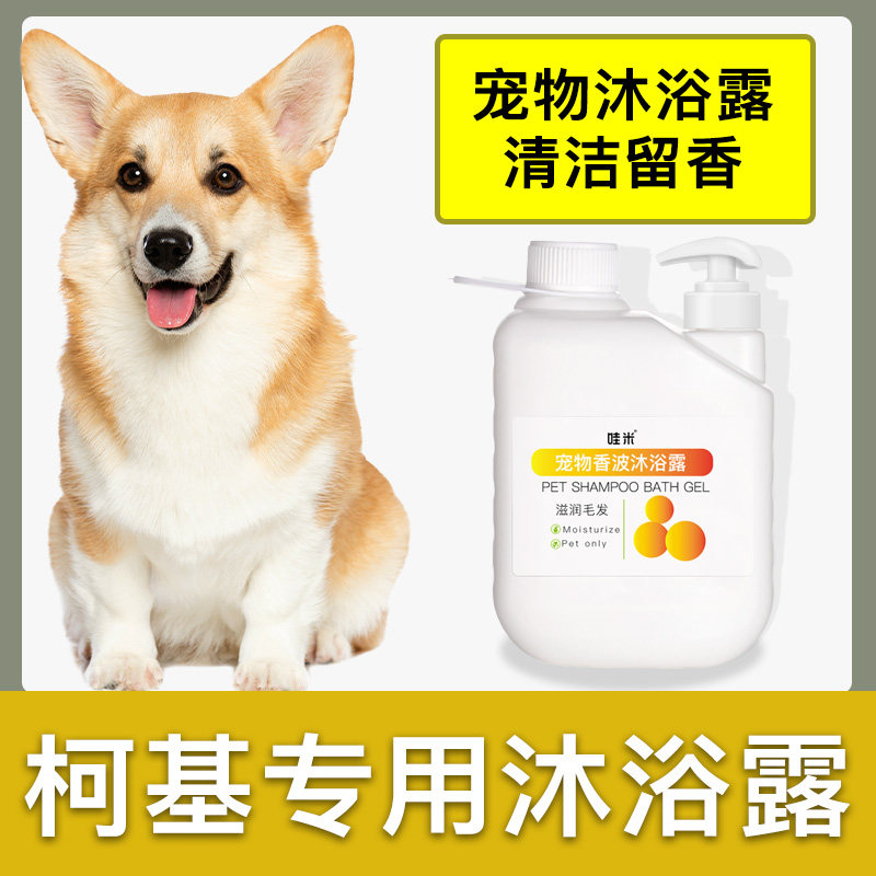 柯基犬专用大桶沐浴露柔顺清洁留香宠物成幼犬洗澡狗狗香波浴液,宠物/宠物食品及用品,狗香波浴液,淘宝优惠券,粉丝福利购,淘宝优惠卷