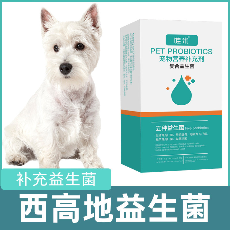 西高地犬犬用益生菌粉宠物犬用狗狗小幼犬成犬白梗犬活性菌消化宝,宠物/宠物食品及用品,狗益生菌,淘宝优惠券,粉丝福利购,淘宝优惠卷