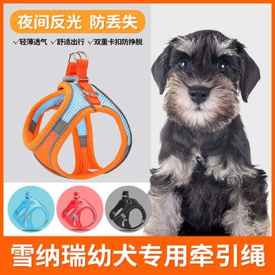 雪纳瑞幼犬专用牵引绳遛狗绳