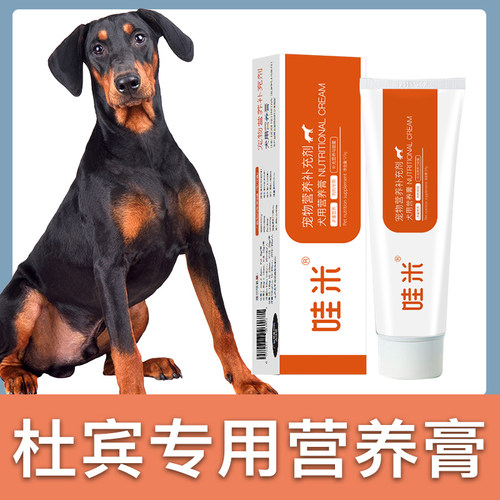 杜宾犬补充营养维生素春上村下