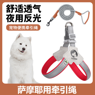 萨摩耶胸背带牵引绳中小型犬