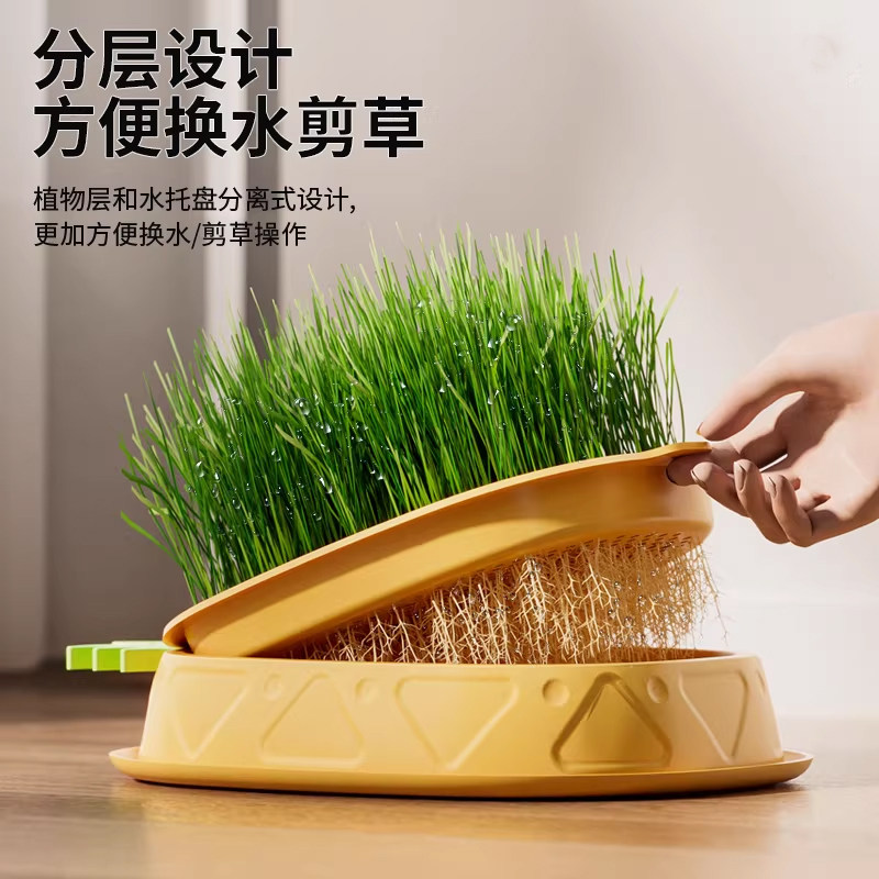 猫草盆栽种子水培盆猫咪化毛草籽化毛球片薄荷小麦草种子猫咪零食,宠物/宠物食品及用品,猫草/猫草片,淘宝优惠券,粉丝福利购,淘宝优惠卷