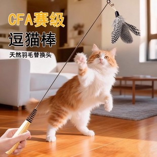 CFA赛级逗猫棒天然羽毛替换头幼猫耐抓咬自嗨解闷猫咪用品