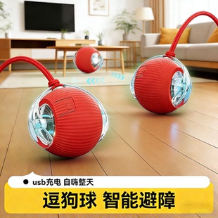 狗狗玩具自动遛狗球耐咬自嗨逗狗狗神器比熊小型犬宠物小狗突突球
