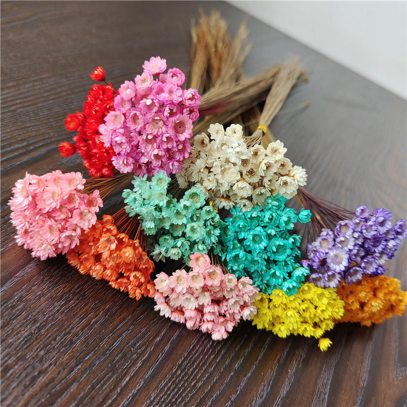 干花巴西小星花果冻口红