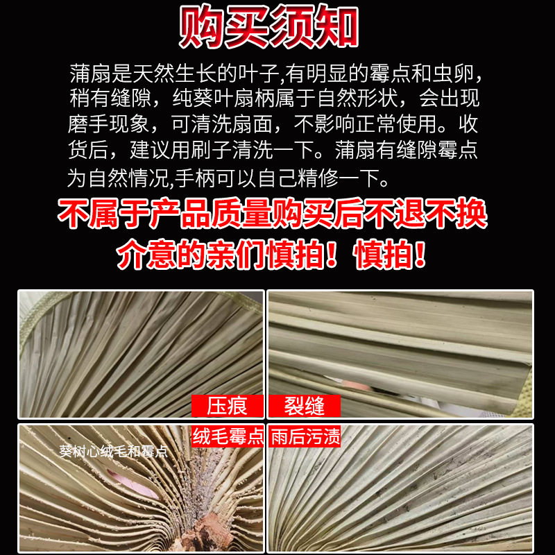 大蒲扇老式扇子夏天耐用