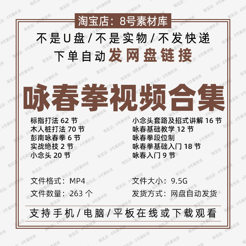 咏春拳视频合集传统武术基础到实战段位标指打法木人桩小念头套路