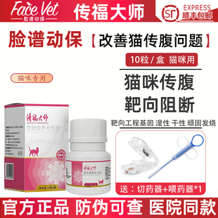 传福大师猫传腹口服药猫干性湿性传染性腹膜炎腹水高烧肝腹水脸谱