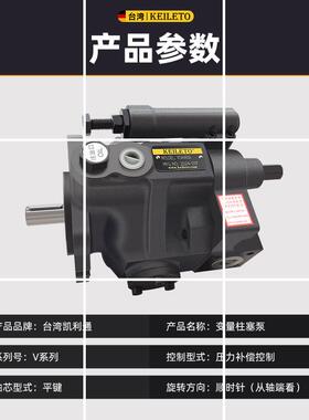 台湾变量柱塞泵V15A4R10X V18 V23 V38 A1 A2R A3R液压现货