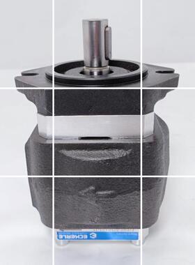 ECKERLE艾可勒液压齿轮油泵EIPH2-013/016/019/022/025LP33-1现货