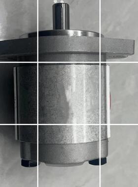 HONOR钰盟齿轮泵1GG1P05R1GG1P01R1GG1P02R1GG1P09R液压油泵现货