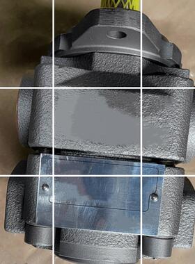 布赫液压泵BUCHER齿轮泵QXM21-010M QXM31 QXM41 QXM51 QXM61现货