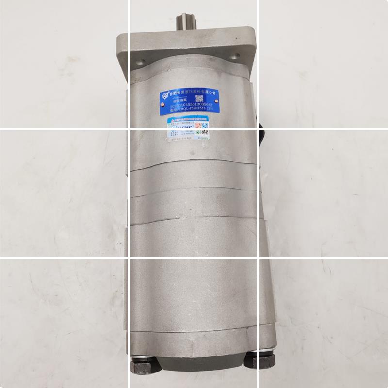 HCHC合肥长源双联齿轮泵CBQL-E563/F550-CFH CFHL F540 F532 现货