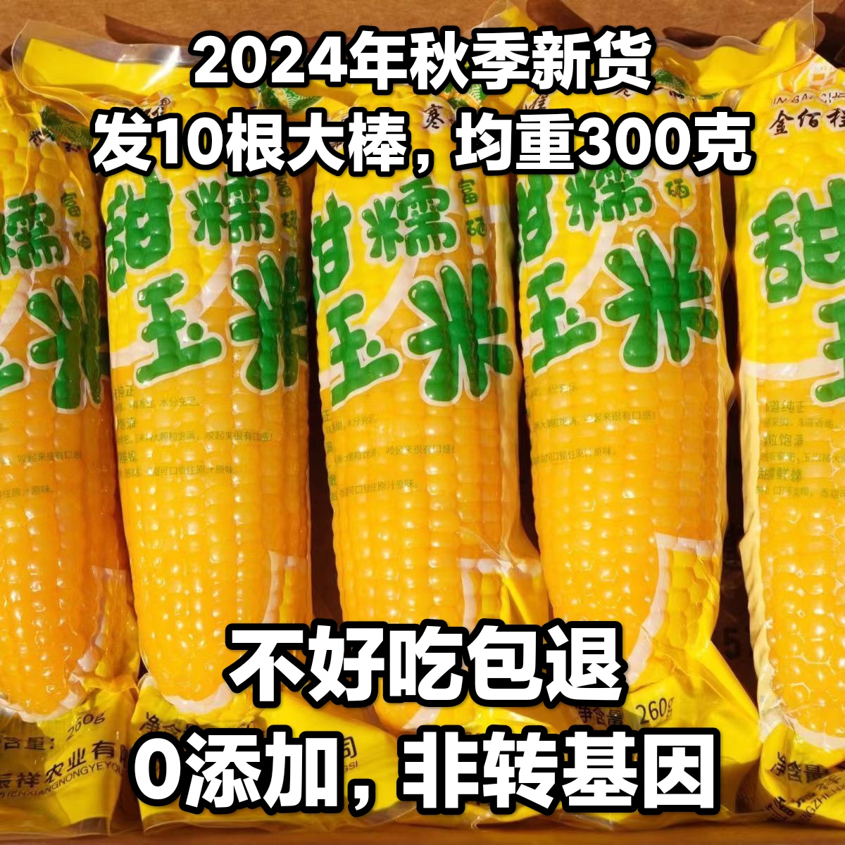 東北特產黃糯玉米棒黃苞米粘苞米真空包裝代餐黑龍江當季采摘玉米