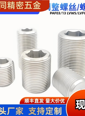 不锈钢调整螺钉LVWS LVFWS12 16 20 24 30-10 15 20 25 30 40螺丝