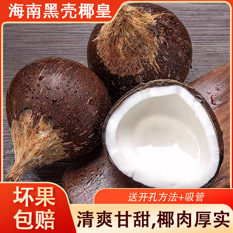 海南文昌老椰子黑壳椰皇