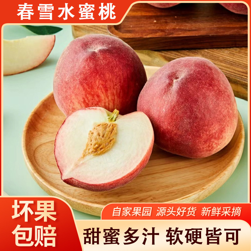 攀枝花水蜜桃新鲜水果甜蜜多汁软硬皆可自家果园源头现摘现发新鲜