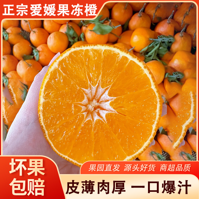 爱媛38号果冻橙四川甜柑橘