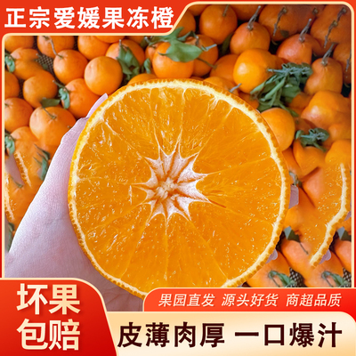 爱媛38号果冻橙四川甜柑橘