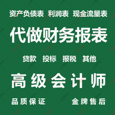 代做财务报表资产负债表利润表现金流量表个体户公司贷款招投标用