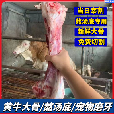 新鲜黄牛棒骨5斤牛骨头宠物磨牙熬汤牛腿骨筒骨生牛大骨煲汤补钙