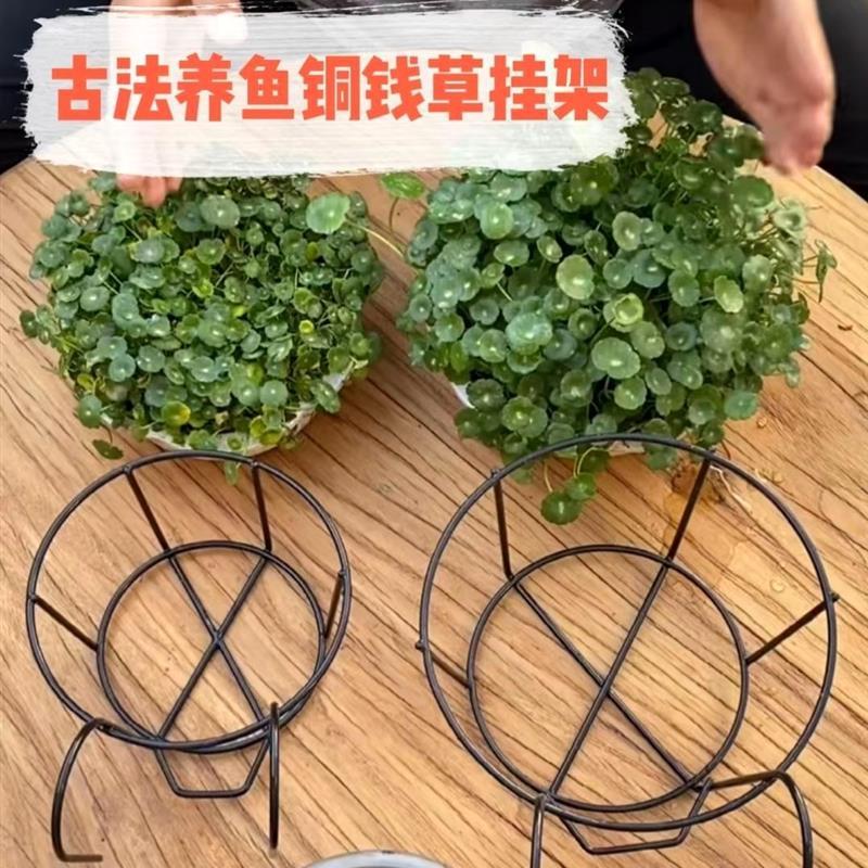 古法养鱼铜钱草鱼缸固定挂篮水培植物壁挂架圆形缸绿植造景配件